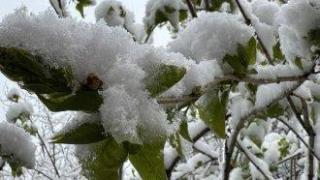 Сняг натрупа в турския черноморски окръг Ризе